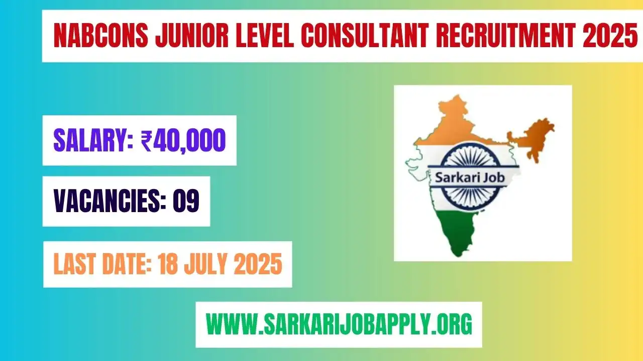 NABCONS Junior Level Consultant Recruitment 2025